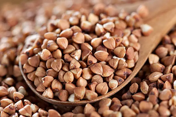 /static/media/buckwheat.ac1056af3a30a6584a0e.webp