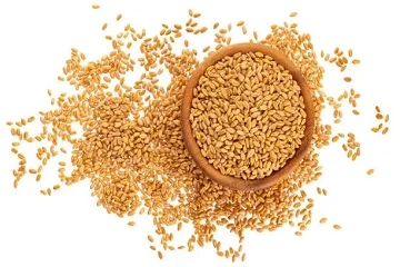 /static/media/wheat.5a5694f501ec48d4550b.webp
